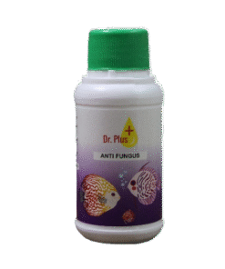 Dr Plus Anti Fungus