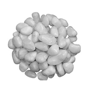 white pebbles for aquarium life