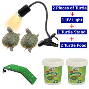 Turtle Combo Pack comes with UV light Turtle Stand and food