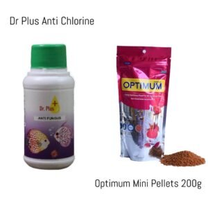 Dr Plus Anti Fungus + Optimum mini Pellets 200g Combo Pack