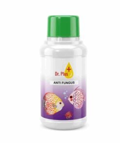 Dr Plus Anti Fungus aquarium fish medicine bottle Anti fungus treatment for fish fin rot infection Aquarium fish medicine Dr Plus antifungal solution Fish fungal infection treatment liquid bottle