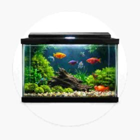 Aquarium
